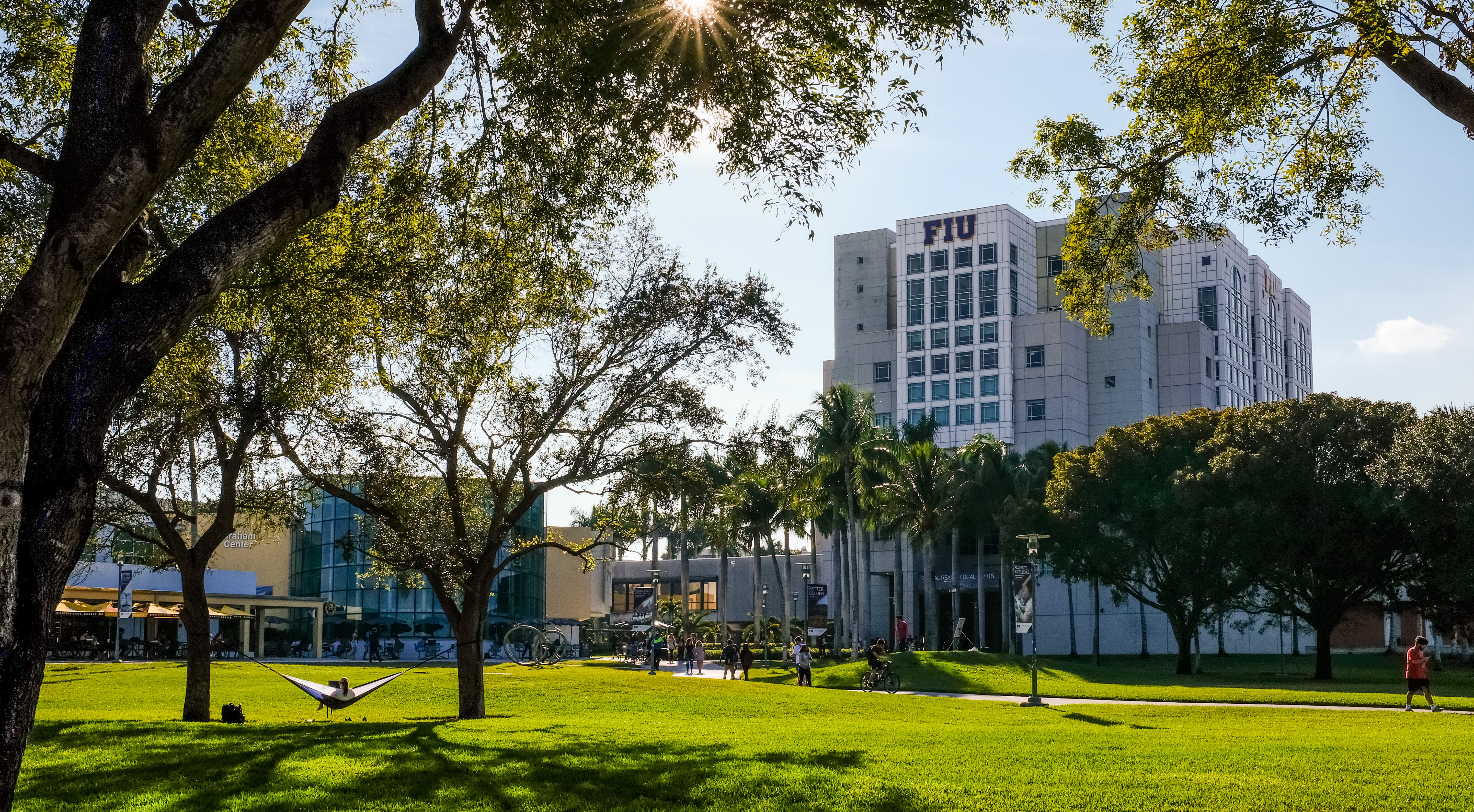 GC Lawns